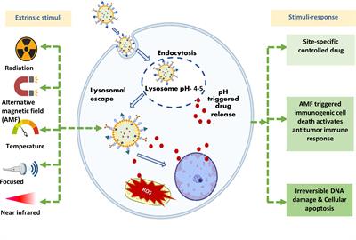 Insight into lipid-based nanoplatform-mediated drug and gene delivery in neuro-oncology and their clinical prospects